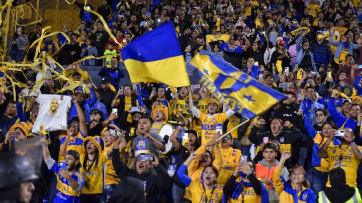 Complicaciones en la construcción del nuevo estadio de los Tigres