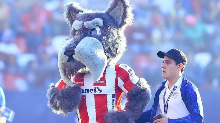 ¡Increíble! ¿Por qué la MASCOTA del Atlético de San Luis es un PERRITO Schnauzer?