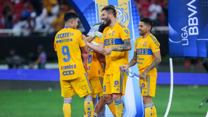 André Pierre Gignac podría ser SANCIONADO por culpa de Nicolás Ibáñez